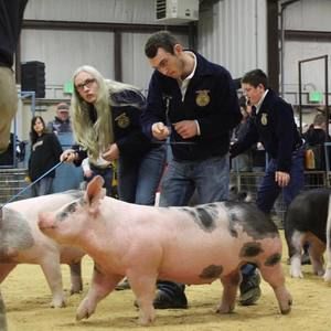 Meet your Posher, Colton